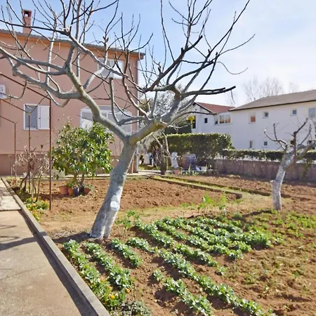 Lejlighed Uto Privlaka (Zadar)